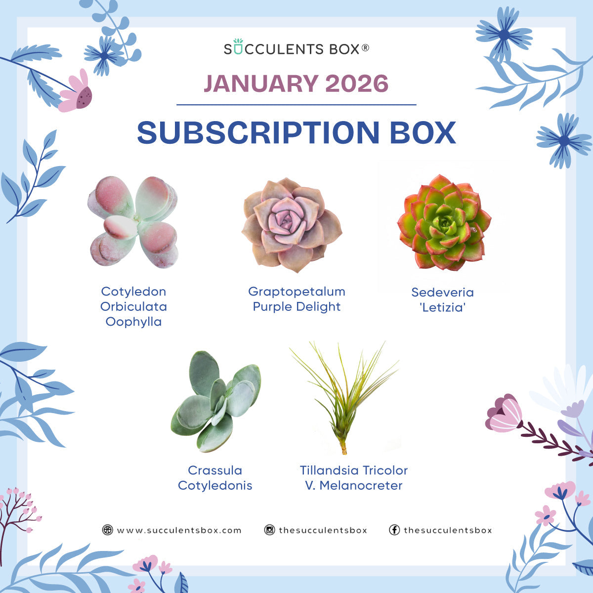 January 2026 Box