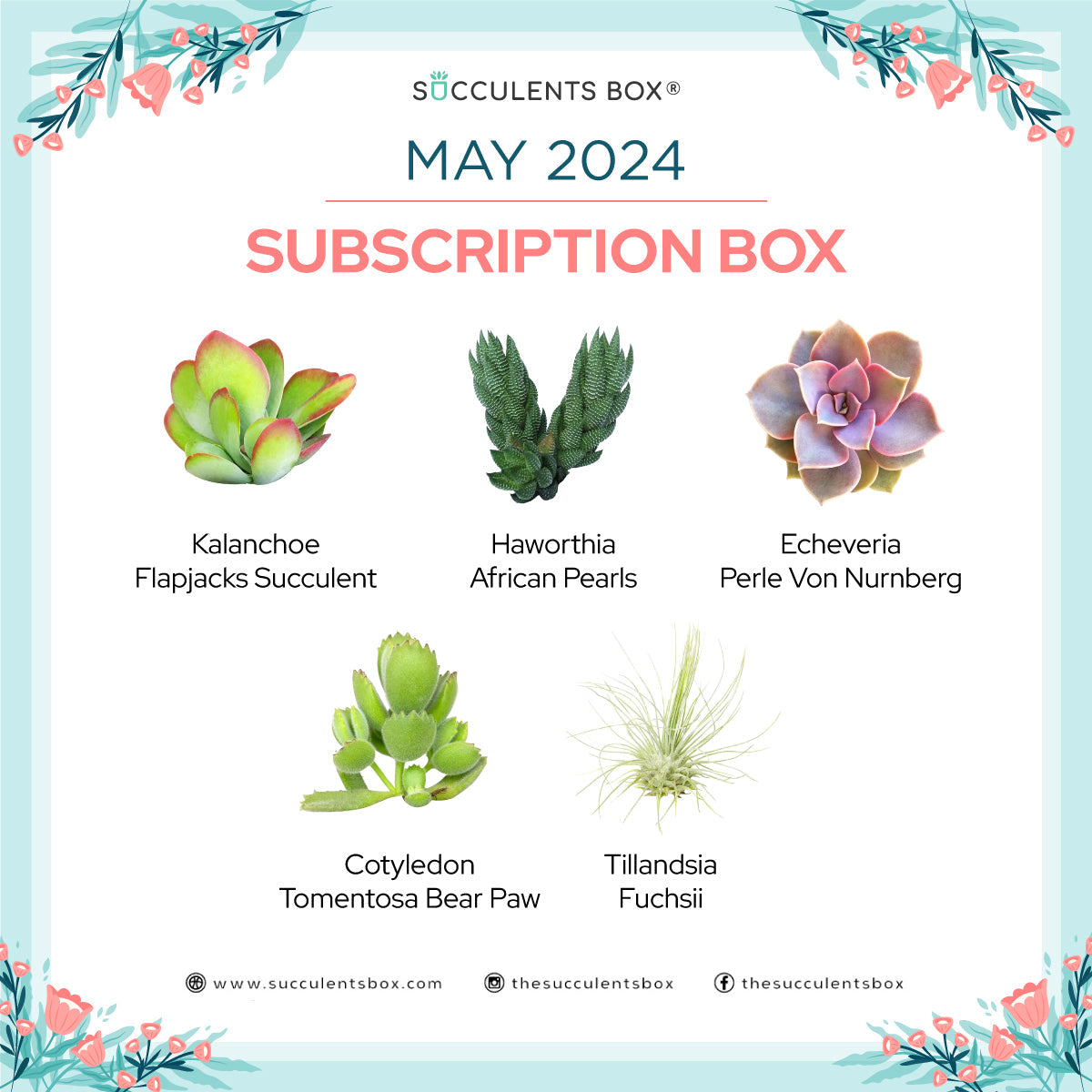 May 2024 Box