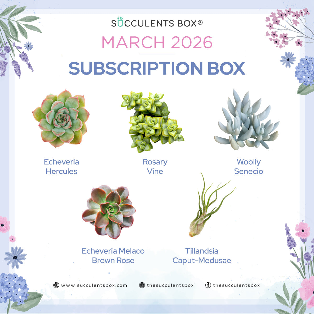 March 2026 Box