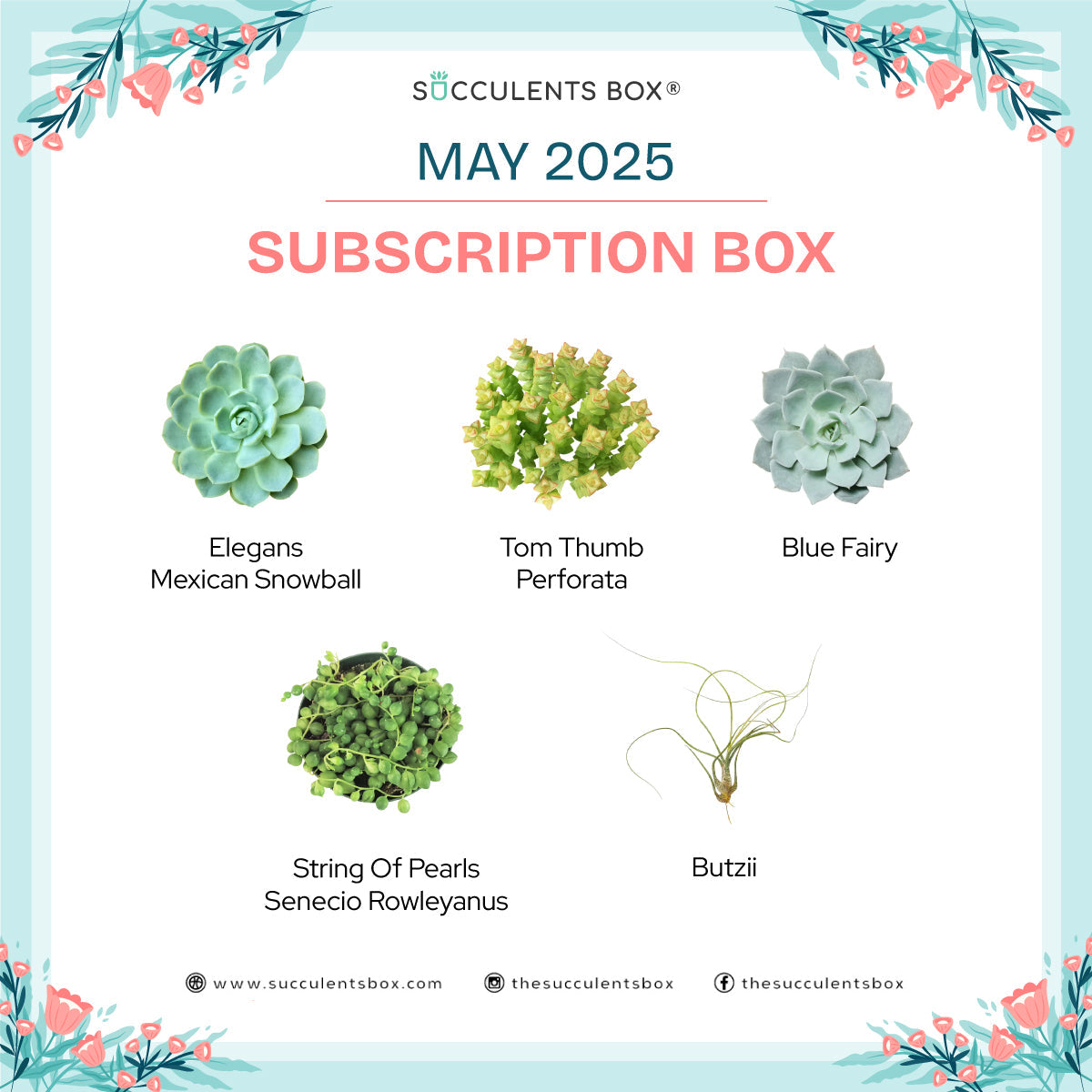 May 2025 Box