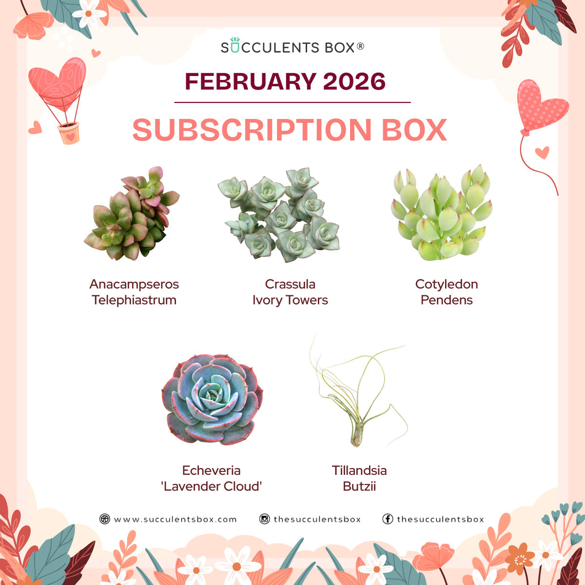 February 2026 Box