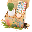 Valentine's Day Gift Ideas 2024, Valentine's Day Gift Plants, Succulent Gifts For Valentine's Day, Valentine's Day Succulent Gift Box