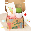 Valentine's Day Gift Ideas 2024, Valentine's Day Gift Plants, Succulent Gifts For Valentine's Day, Valentine's Day Succulent Gift Box