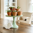 Clay Terracotta Pot 2.5"