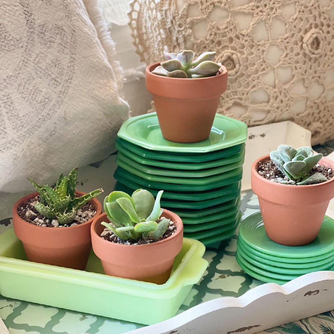 Basic terracotta pots 2 inch for sale online, Succulent terracotta clay pots with a drainage hole, Terracotta pots come in various shapes, sizes, and finishes
