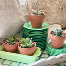 Clay Terracotta Pot 2.5"