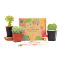 Succulents for Sale, Types of Succulents, Succulents Shop in California, Succulents and Cactus Plants, Cactus Box, Subscription Box with Care Instruction, Succulent Subscription Box
