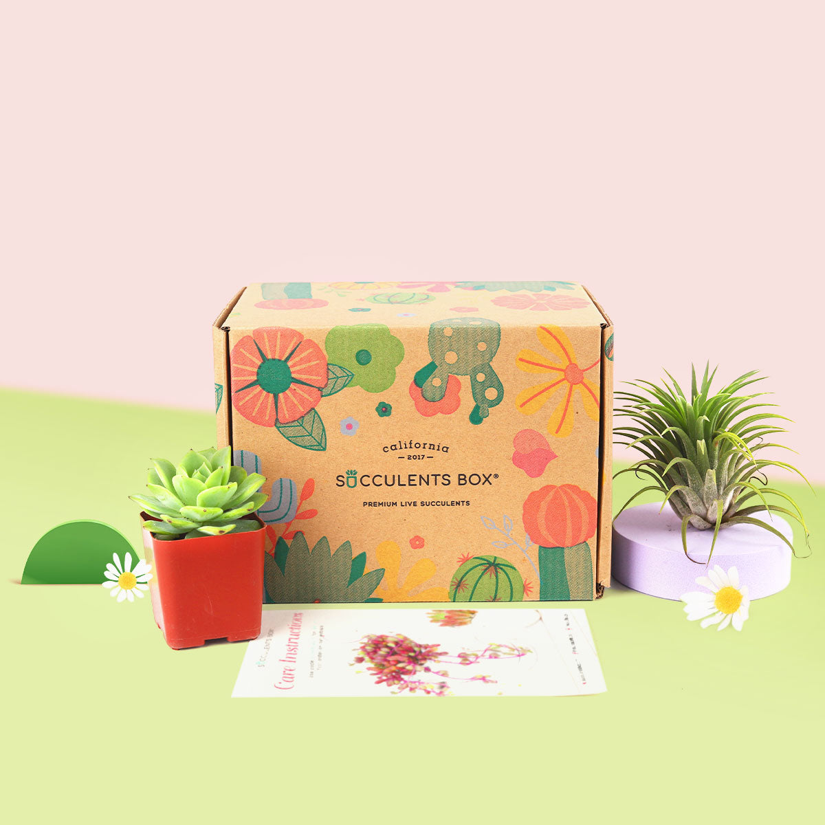 Subscription Box with Care Instruction, Succulent Subscription Box