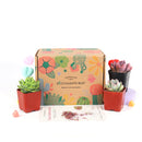 Succulents for Sale, Types of Succulents, Succulents Shop in California, Succulents and Cactus Plants, Cactus Box, Subscription Box with Care Instruction, Succulent Subscription Box