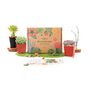 Succulents for Sale, Types of Succulents, Succulents Shop in California, Succulents and Cactus Plants, Cactus Box, Subscription Box with Care Instruction, Succulent Subscription Box