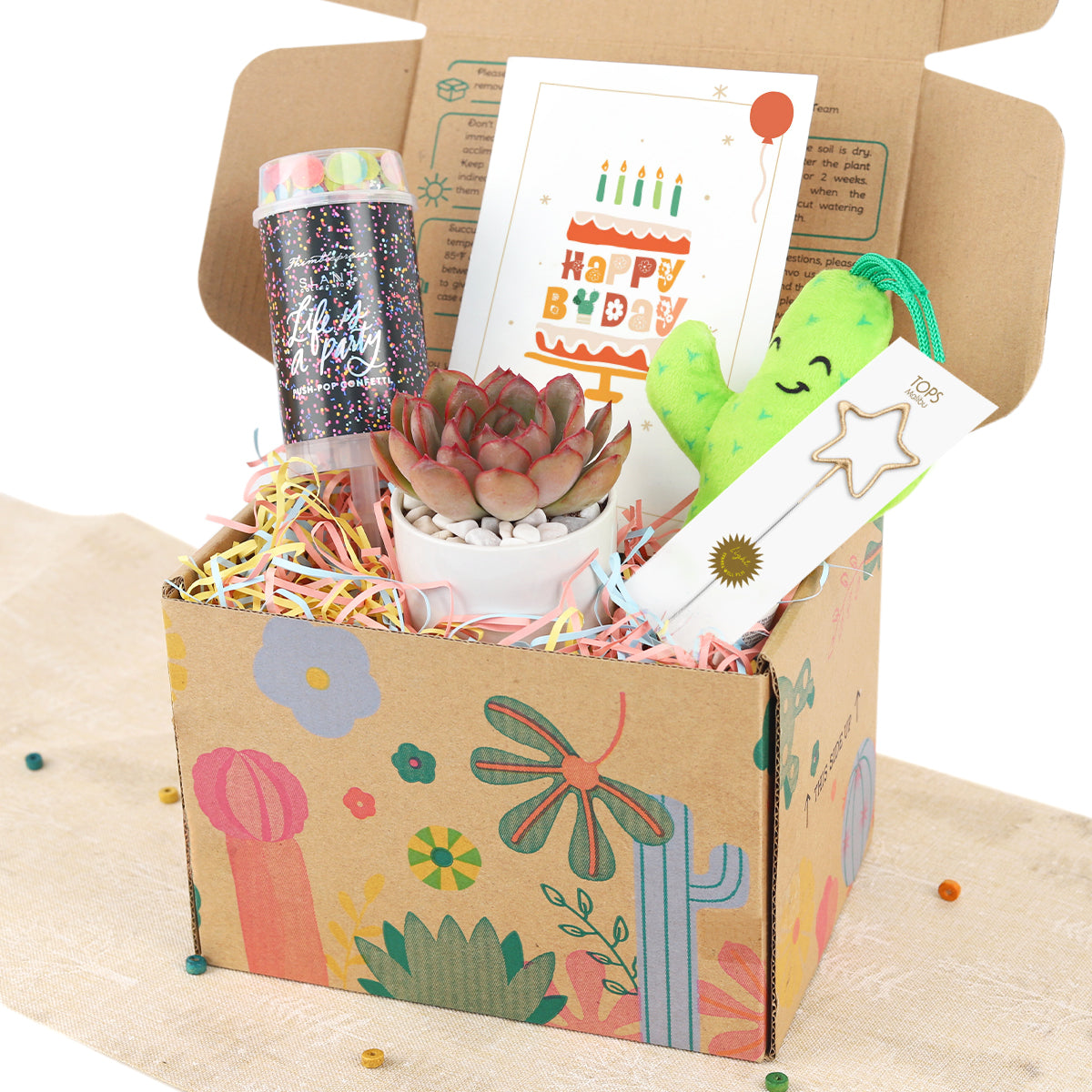 Holiday Gift Box - 1 Succulent 1 Sparkler 1 Confetti Popper &amp; 1 Felt Wire Cactus Pot