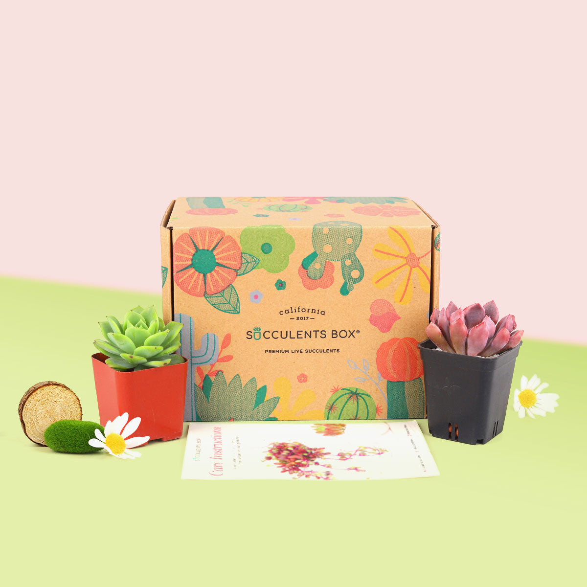 succulent subscription monthly, live plant delivered monthly, succulent gift ideas