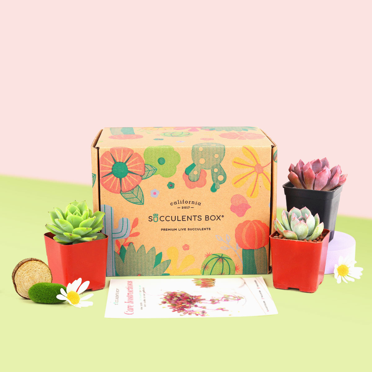 Subscription Box with Care Instruction, Succulent Subscription Box