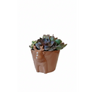 cool christmas gifts for men 2025, gifts for plant lovers, christmas gift 2025, gifts for dad/mom