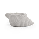 cement air plant holder, seashell air plant holder, Mini Air Plant Holder for sale, buy Cement Seashell Mini Air Plant Holder online, Mini Air Plant display ideas, air plant holder, seashell air plant holder for home and office decor