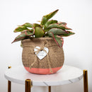 5.5 inch Orange &amp; Nature Reed Round Cement Pot