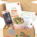 Holiday Gift Box - 1 Succulent 1 Sparkler 1 Confetti Popper &amp; 1 Jewelry