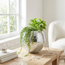 Disco Ball Hanging Planter for sale, silver disco ball planter for small plants, unique gift for plant lovers disco planter, trendy disco ball decor plant pot