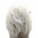 buy Peruvian Old Lady Cactus - Espostoa melanostele live cactus 4 inch online, dense white woolly hair covering, upright columnar form, golden hidden spines, slow growing drought tolerant, striking architectural accent for bright sunny windowsill, unique collector gift for cactus enthusiasts