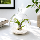 Mini Hanging Flat Bottom Beach Terrariums with White or Black Sand