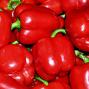 vegetable live plants, best place to buy vegetable plants online, vegetable plants for sale near me