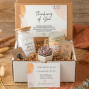 thinking of you gift box for sale, thinking of you plant gift box with live succulent, healing plant gift box for emotional support, small succulent gift for girlfriend