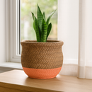 5.5 inch Orange &amp; Nature Reed Round Cement Pot