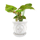 ceramic planter, classic pattern planter, white ceramic planter, 6 inch ceramic planter, classic ornate ceramic planter, houseplant pot, white ceramic embossed pattern planter
