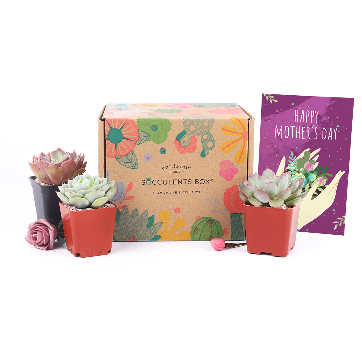 teen subscription box, subscription box ideas, gardening subscription box, best subscription box, garden subscription box, subscription box gifts, couples monthly subscription box, new mom subscription box, friends subscription box, best mother's day gifts, personalized mother's day gifts, mother day gifts, mother's day subscription box