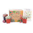 Succulents for Sale, Types of Succulents, Succulents Shop in California, Succulents and Cactus Plants, Cactus Box, Subscription Box with Care Instruction, Succulent Subscription Box