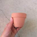 Clay Terracotta Pot 2.5"