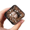 How to take care of Lithops Succulent Plant, Lithops Living Stones Care Guide, How to grow Lithops Plant, rare succulents, rare succulents for sale, unique succulents, buy succulents online, rare succulent, succulent shop, unusual succulents, succulent store, succulents online,  indoor succulents.