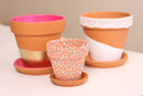 Clay Terracotta Pot 2.5"