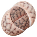 How to take care of Lithops Succulent Plant, Lithops Living Stones Care Guide, How to grow Lithops Plant, rare succulents, rare succulents for sale, unique succulents, buy succulents online, rare succulent, succulent shop, unusual succulents, succulent store, succulents online,  indoor succulents.