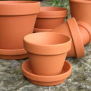 Clay Terracotta Pot 2.5"